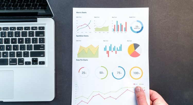 Person Holding Chart And Bar Graph